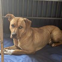 Thumbnail photo of Six-Courtesy Listing #1