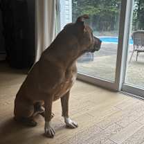 Thumbnail photo of Six-Courtesy Listing #2