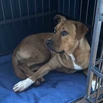 Thumbnail photo of Six-Courtesy Listing #3