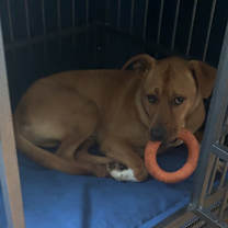 Thumbnail photo of Six-Courtesy Listing #4