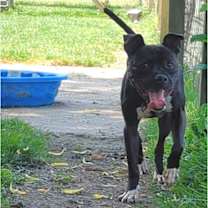 Thumbnail photo of Eli #4