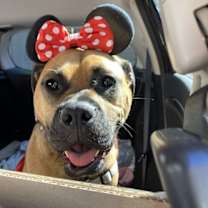 Thumbnail photo of Greg #4