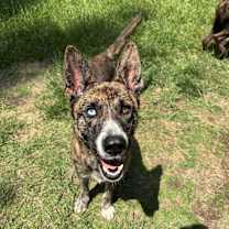 Thumbnail photo of Gem #1