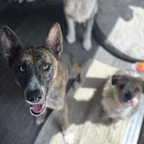 Thumbnail photo of Gem #2