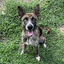 Thumbnail photo of Gem #4