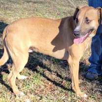 Thumbnail photo of Scully #4