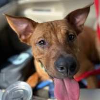 Thumbnail photo of SKY #3