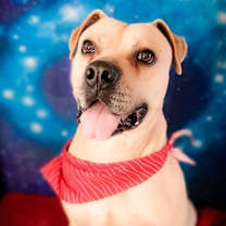 Thumbnail photo of BUBBA #3