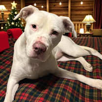 Thumbnail photo of Stormie #1