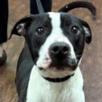 Thumbnail photo of Banksy #2