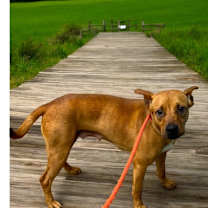 Thumbnail photo of SKY #3