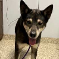 Thumbnail photo of Cassidy #3