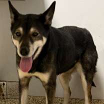 Thumbnail photo of Cassidy #4