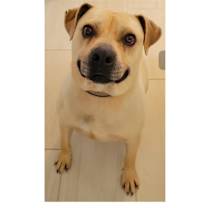 Thumbnail photo of BUBBA #4