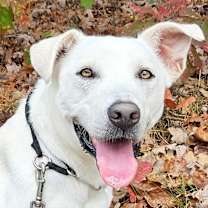 Thumbnail photo of Isla (eye-la) #1