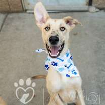 Thumbnail photo of Spot #2