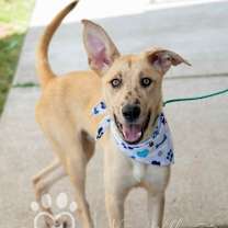 Thumbnail photo of Spot #3