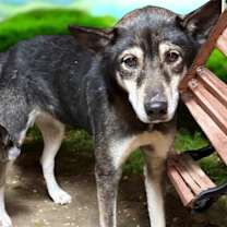 Thumbnail photo of Cassidy #2