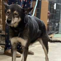 Thumbnail photo of Cassidy #3