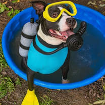 Thumbnail photo of Banksy #2