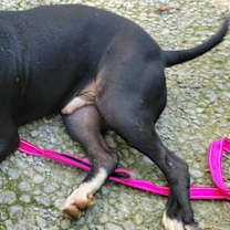 Thumbnail photo of Banksy #3