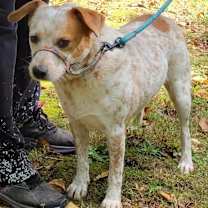 Thumbnail photo of Bobbi #2