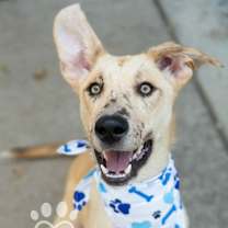 Thumbnail photo of Spot #1