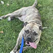 Thumbnail photo of Luna #2