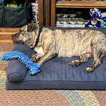 Thumbnail photo of Luna #4