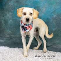 Thumbnail photo of Fred #2