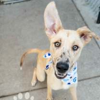 Thumbnail photo of Spot #4