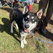 Thumbnail photo of Mike #1