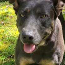 Thumbnail photo of SUNNY #1