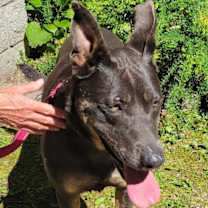 Thumbnail photo of SUNNY #3