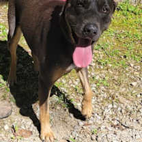 Thumbnail photo of SUNNY #4