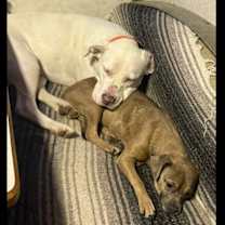 Thumbnail photo of Stormie #2