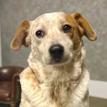 Thumbnail photo of Bobbi #1