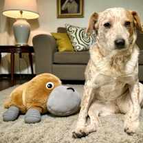 Thumbnail photo of Bobbi #2