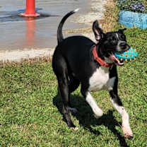 Thumbnail photo of Cancun #3