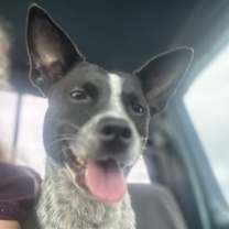 Thumbnail photo of Flower #1