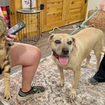 Thumbnail photo of Snoopy Doopie is ready for retirement living #4