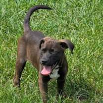 Thumbnail photo of Unicorn #3