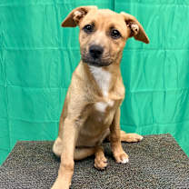 Thumbnail photo of Tot #4