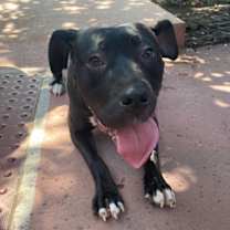 Thumbnail photo of Lucy #1