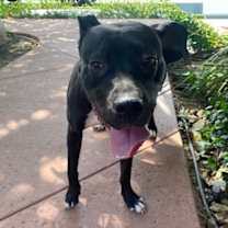 Thumbnail photo of Lucy #3