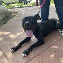 Thumbnail photo of Lucy #4