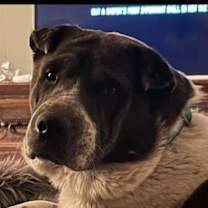 Thumbnail photo of General #1