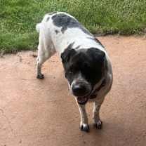 Thumbnail photo of General #3