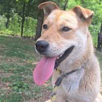 Thumbnail photo of Fondue (S. Korea) hz #2