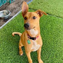 Thumbnail photo of Landon #2